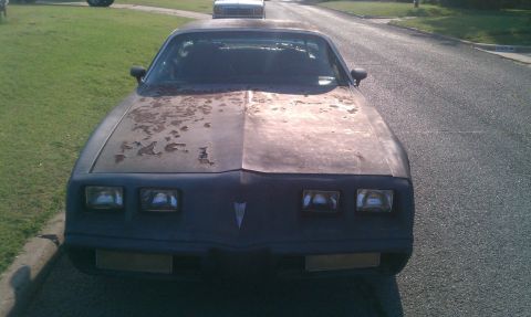1979 Pontiac Firebird - This 1979 Pontiac Firebird shows significant paint deterioration on its hood and front end.