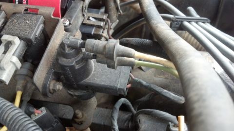 1993 Ford Bronco - Close-up view of engine wiring and vacuum lines connected to a component, with a SuperMotors watermark visible.
