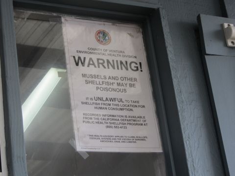 1964 Ford Ranchero - A warning sign posted on a door states that mussels and other shellfish from this location may be poisonous and it is unlawful to take them…