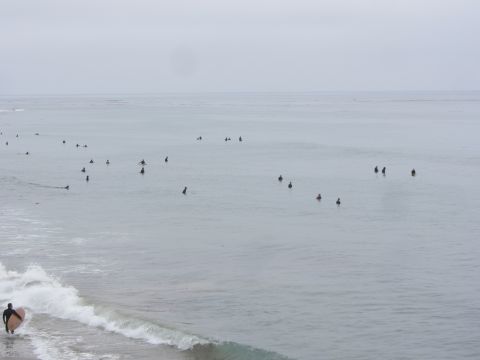 1964 Ford Ranchero - A group of surfers are in the water, some paddling and others waiting for waves.