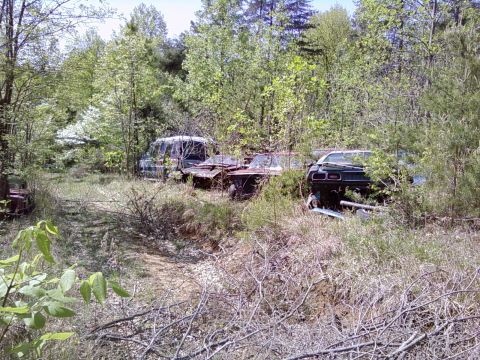 1974 Dodge Challenger - Junkyard scene with multiple abandoned vehicles overgrown by vegetation.