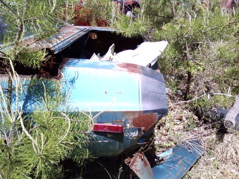 1974 Dodge Challenger - This 1974 Dodge Challenger shows significant rust and damage, partially obscured by trees.