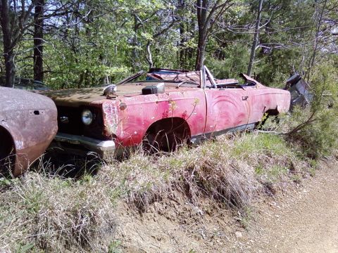 1974 Dodge Challenger - Two old cars sit abandoned in a wooded area, one a red convertible, the other a rusty front end.