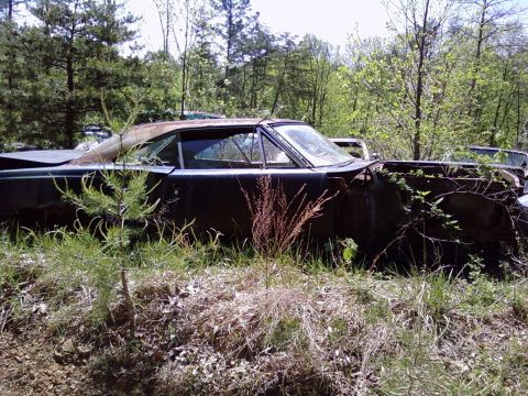 1974 Dodge Challenger - This vehicle sits in a field of tall grass and weeds, surrounded by trees.