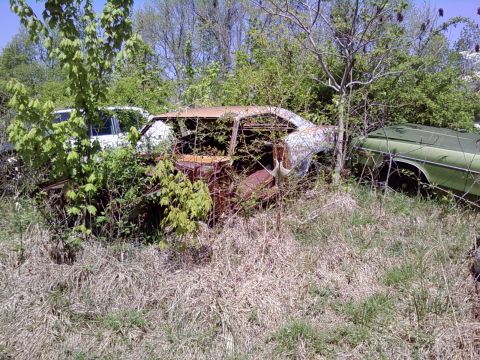 1974 Dodge Challenger - Two abandoned vehicles are partially hidden by vegetation in a grassy field.