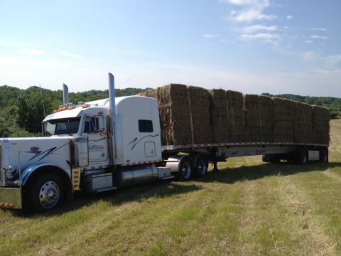 2003 Peterbilt 379 - 2003 Peterbilt 379 semi-truck hauling a large load of hay bales on a flatbed trailer.