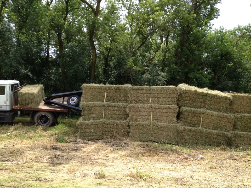 Flatbed truck carrying a hay bale, parked next to a large stack of hay bales