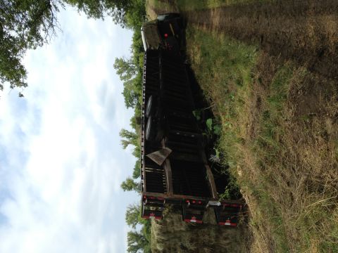 2003 Peterbilt 379 - A tractor-trailer has tipped onto its side in a grassy area, surrounded by vegetation and trees.