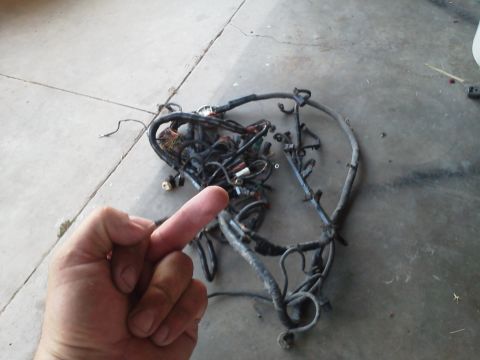 1988 Ford Bronco - A tangled mess of wires and connectors, likely a vehicle's electrical system, is spread out on a concrete surface.