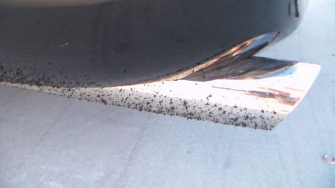 2003 Ford Crown Victoria - close-up of a dark car's lower body and a light-colored panel speckled with dirt and debris.