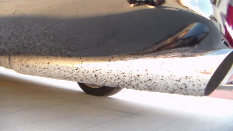 2003 Ford Crown Victoria - close-up of a car's chrome exhaust tip and dirt-flecked lower body beneath the rear bumper.