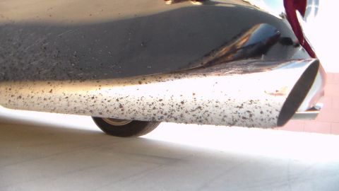 2003 Ford Crown Victoria - close-up of a chrome exhaust outlet and dirt-speckled underbody beneath a car's rear bumper.