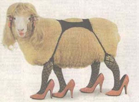 1994 Ford Bronco - A sheep is humorously depicted dressed in human clothing, including a wig and high heels.