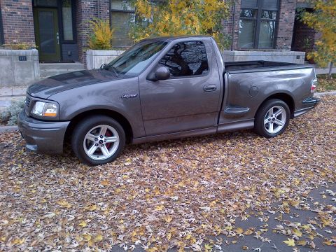 2003 Ford F-150 - A 2003 Ford F-150 Lightning pickup truck is parked on a street with autumn leaves scattered around it.