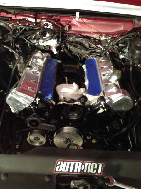 1992 Ford Crown Victoria - Close-up of an engine bay chrome valve covers and visible wiring, with an ADTR.net sticker on the lower shroud.