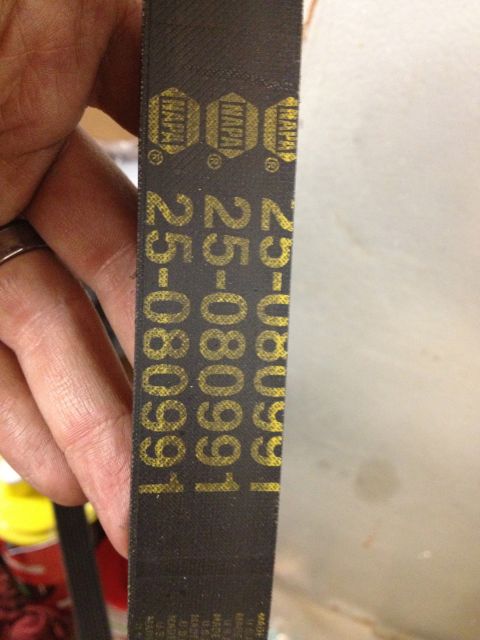 1992 Ford Crown Victoria - A hand holds a NAPA serpentine belt, showing the part number printed in yellow text.