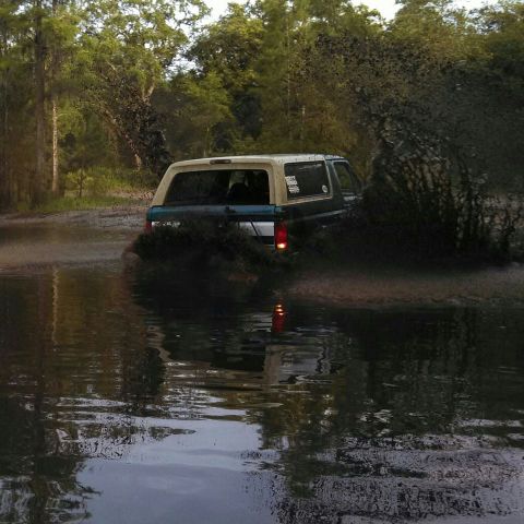 1996 Ford Bronco - Mudding going forward is overrated. Mudding in reverse is where its at! Plathe