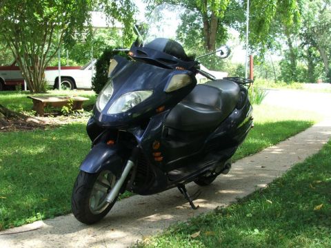 2008 Yamaha Zuma - A dark blue scooter is parked on a concrete path next to a grassy lawn.