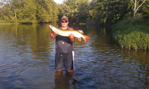 1979 Ford Bronco - A man proudly displays a large muskie caught while wading in a river.