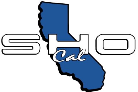 1993 Ford Taurus - This image displays a logo with text and a graphic representation of California.