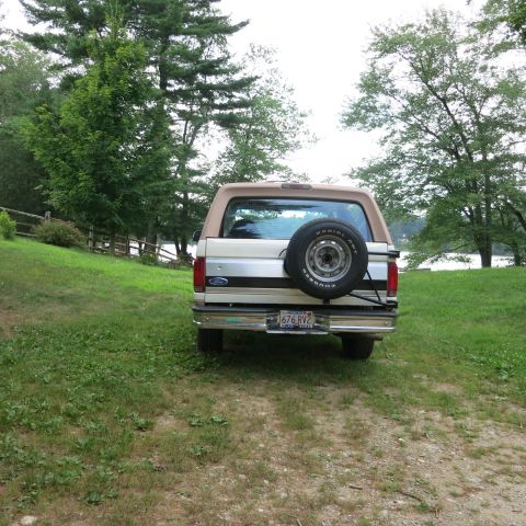1995 Ford Bronco - Rear view of a Ford Bronco with a spare tire on the back, situated in a grassy, wooded area.