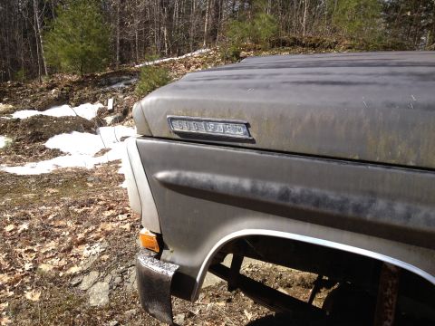 1979 Ford Bronco - A close-up of a weathered Ford truck's fender shows a "600 750" badge.