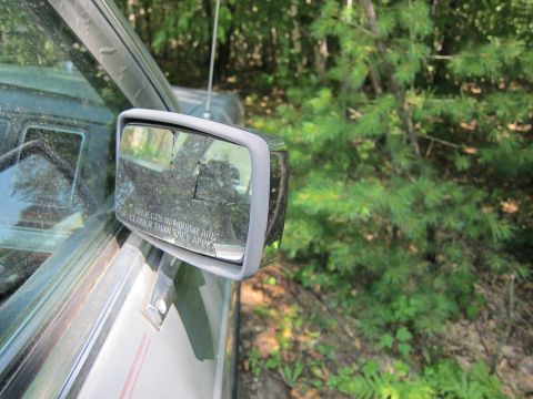 1991 Ford LTD Crown Victoria - The side mirror of a vehicle is shown, reflecting the surrounding trees and forest.