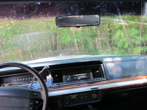 1991 Ford LTD Crown Victoria - The dashboard and steering wheel of a car are visible, with trees and foliage seen through the windshield.