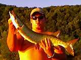 1979 Ford Bronco - A person proudly displays a large muskie caught outdoors with a wooded area behind them.