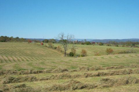 1979 Ford Bronco - A red tractor is visible in a vast, mowed field with hay rows under a bright blue sky.