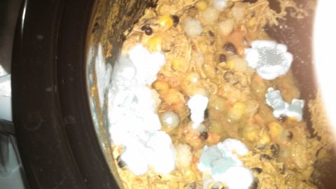 1979 Ford Bronco - Moldy food with fuzzy growth inside a dark brown container.