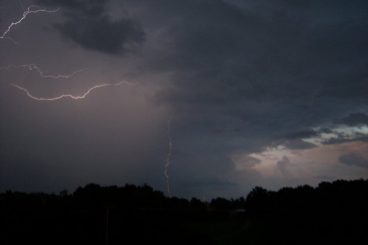 Lightning strikes in a dark, cloudy sky over a silhouetted treeline