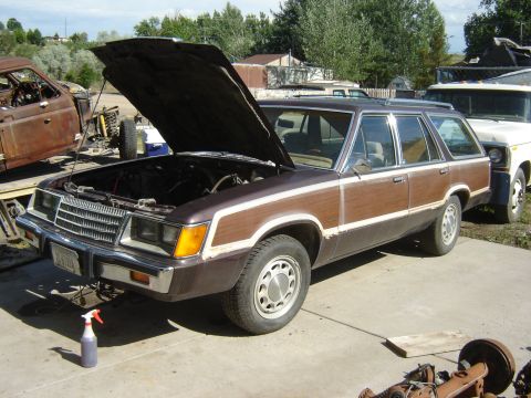 1984 Ford LTD - Station wagon with wood paneling and hood open, parked next to another vehicle.