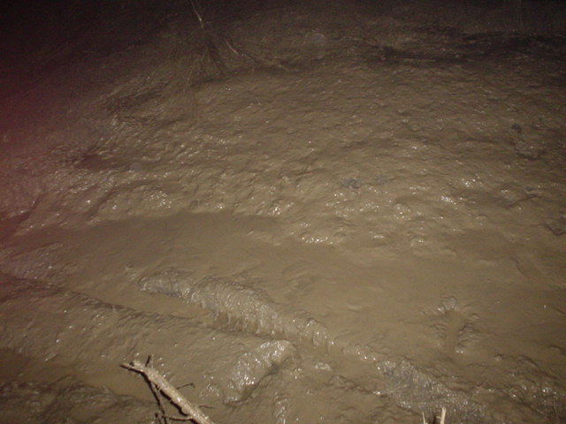 Night flash photo of a rutted muddy trail with no vehicle visible