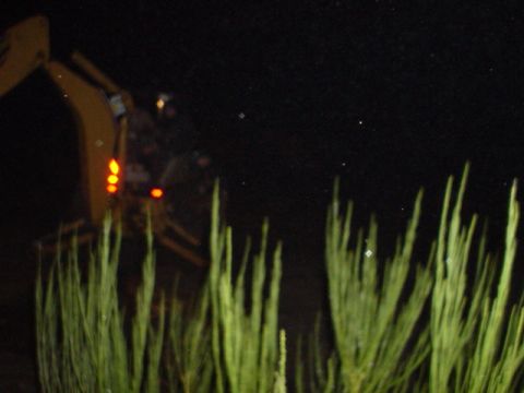 1995 Ford Bronco - An excavator is seen at night, with its lights on, surrounded by tall grass.