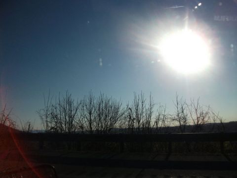1990 Ford Bronco - A bright sun shines in a clear blue sky, with silhouetted trees and a guardrail in the foreground.