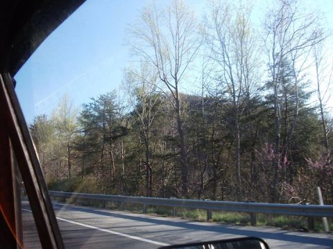 1990 Ford Bronco - Driving past trees and a guardrail on a sunny day.