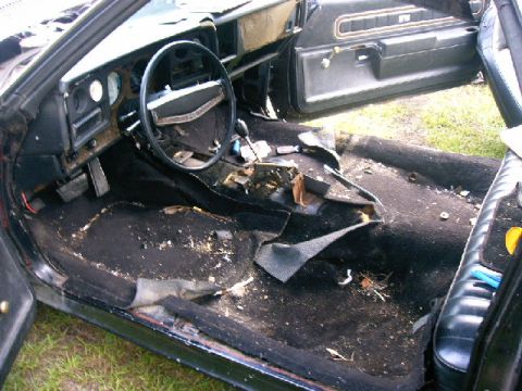 1975 Chevrolet Chevelle - The interior of the car is in disarray, with the carpet pulled up and trash scattered across the floor.