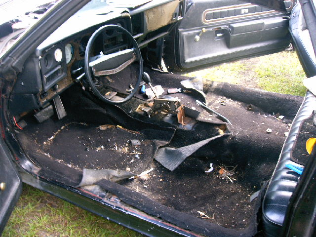 Interior of a car with the carpet removed and debris on the floor. Steering wheel and dashboard are visible