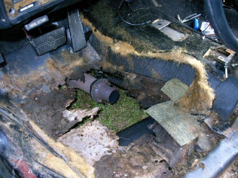 1975 Chevrolet Chevelle - Car interior floor is heavily rusted, with grass growing through holes and an exhaust pipe visible.