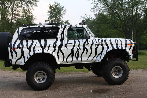 Lifted 1979 Ford Bronco with zebra stripes, parked outdoors.