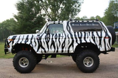1979 Ford Bronco photo