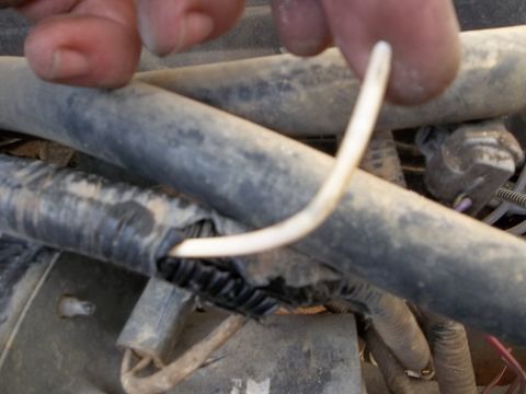 1995 Ford Bronco - A damaged engine wiring harness shows a white wire exposed from a torn black protective sleeve.