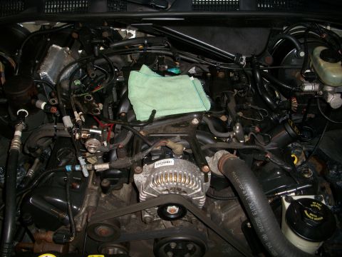 2001 Ford Crown Victoria - Close-up view of a vehicle's engine bay, showing the alternator, various hoses, and wiring.
