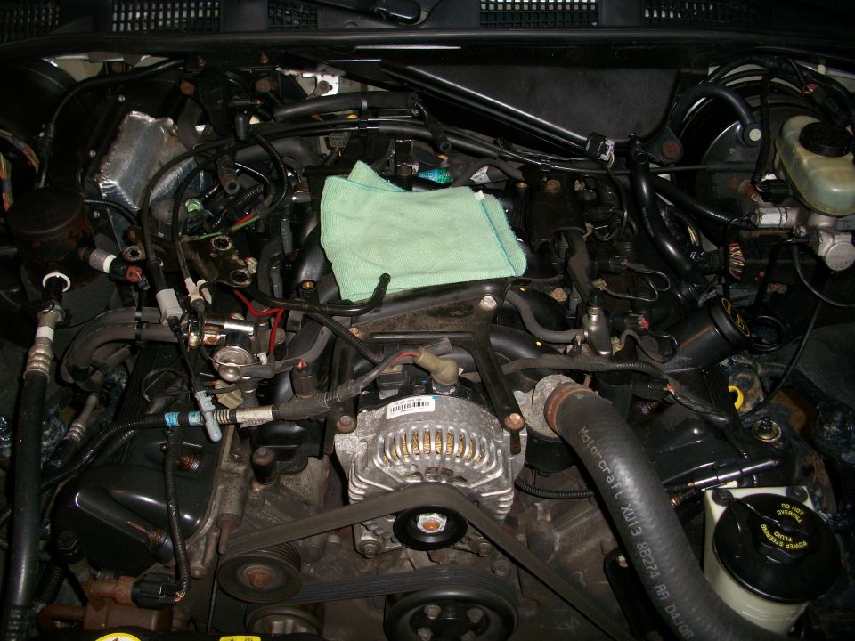 Engine bay with alternator and hoses visible