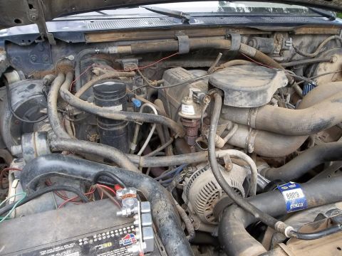 1995 Ford Bronco - Close-up view of a vehicle's engine bay, showing various components like hoses, wiring, and the alternator.