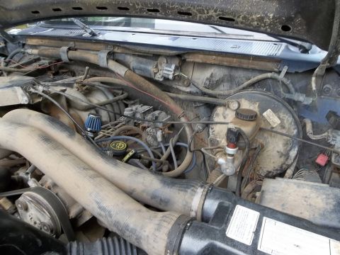 1995 Ford Bronco - Close-up view of a vehicle's engine bay, showing hoses and engine parts.