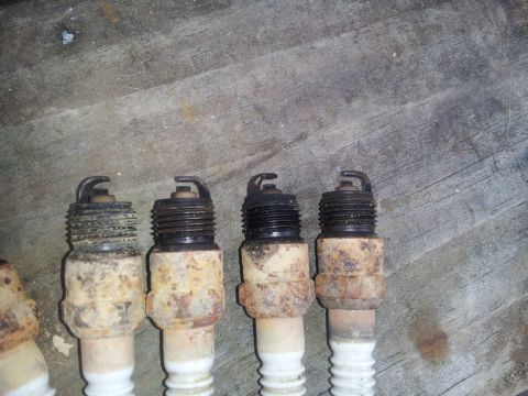 1988 Ford Bronco - Four used spark plugs show signs of wear and rust on their ceramic insulators.