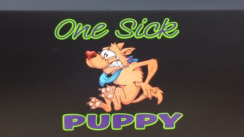 1995 Ford Bronco - A decal a cartoon dog and the text 'One Sick PUPPY' is visible on a dark surface.