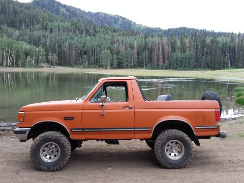 1989 Ford Bronco photo